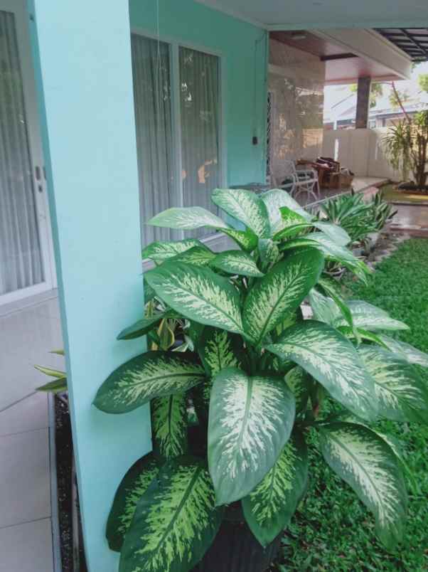 dijual rumah perumahan harapan mulya