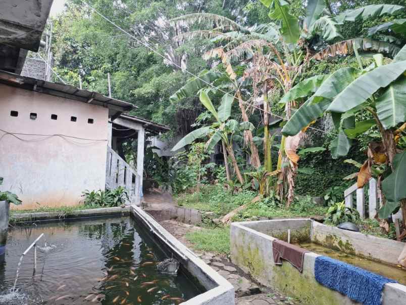 dijual rumah pulogebang