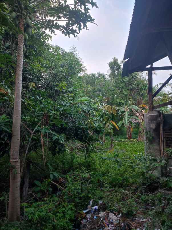dijual rumah sumuradem timur