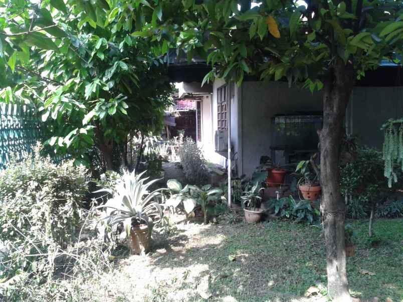 dijual rumah tua dekat taman heulang kota bogor