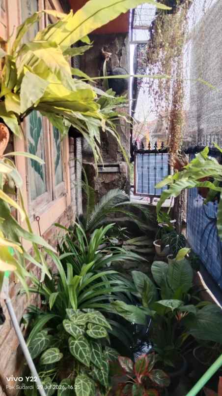 dijual rumah umbulharjo