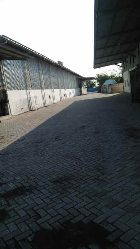 dijual sewa gudang di gresik
