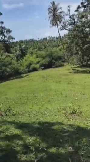 dijual tanah balian beach selemadeg