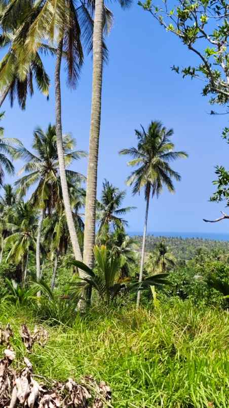 dijual tanah balian beach selemadeg