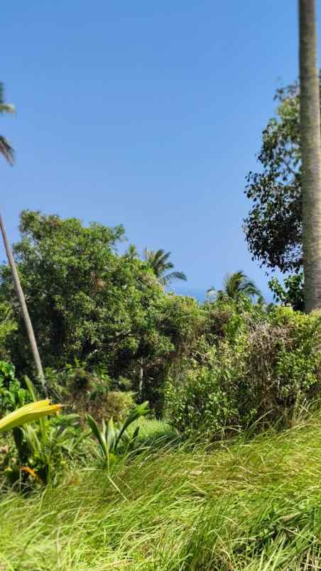 dijual tanah balian beach selemadeg