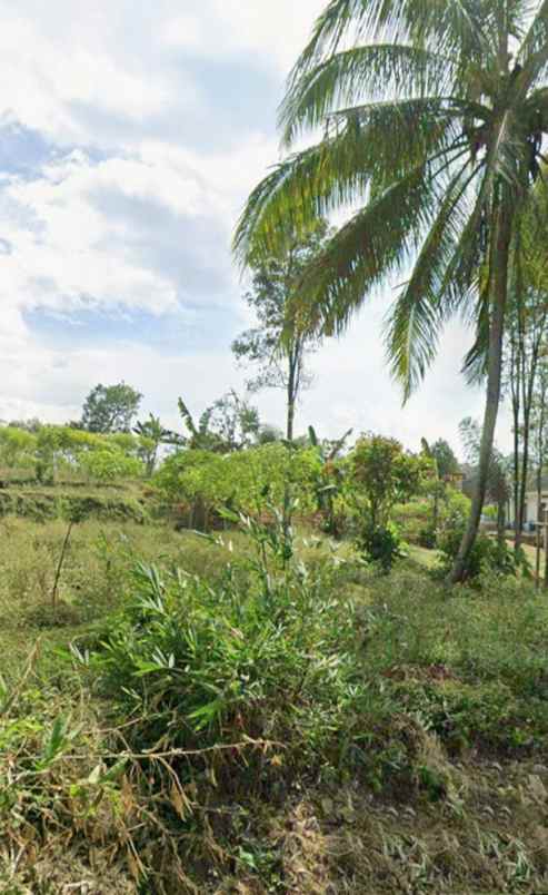 dijual tanah batu karut