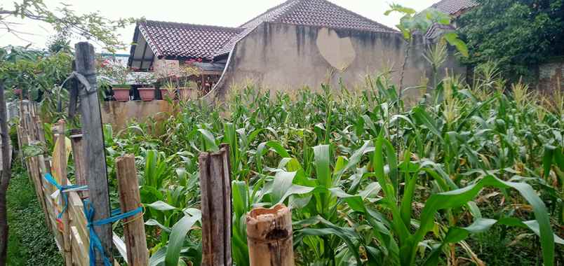 dijual tanah cisaranten kulon