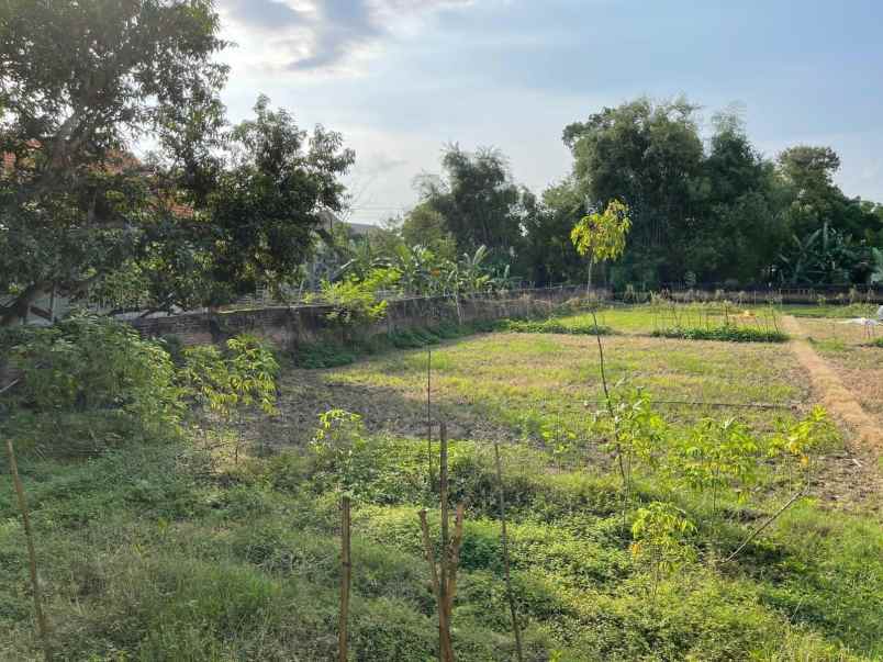 dijual tanah dan bangunan di ponorogo