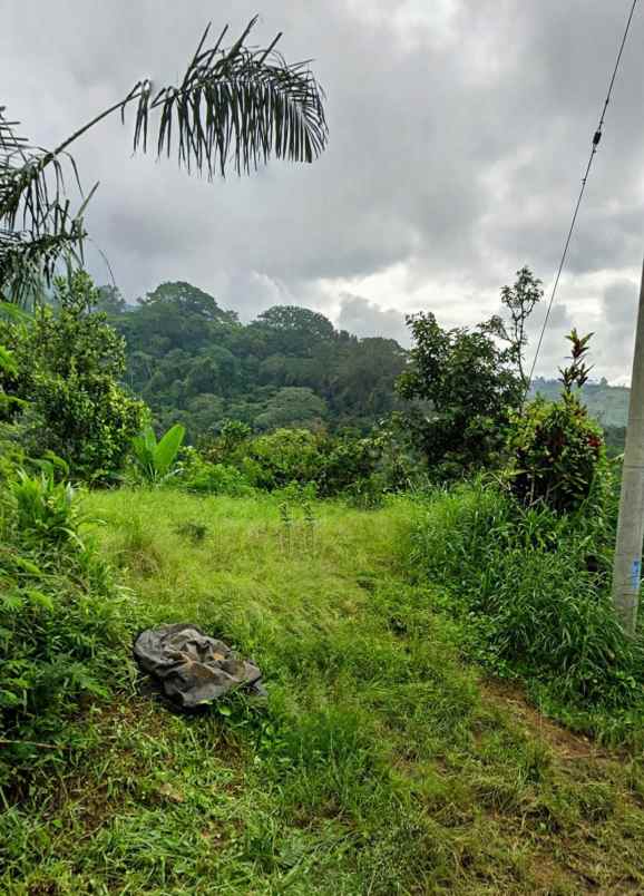 dijual tanah desa antapan kec baturiti