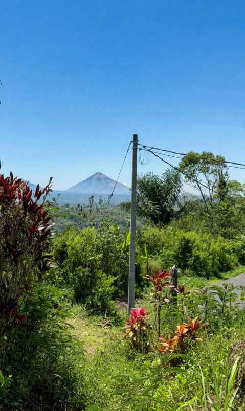 dijual tanah desa antapan kec baturiti