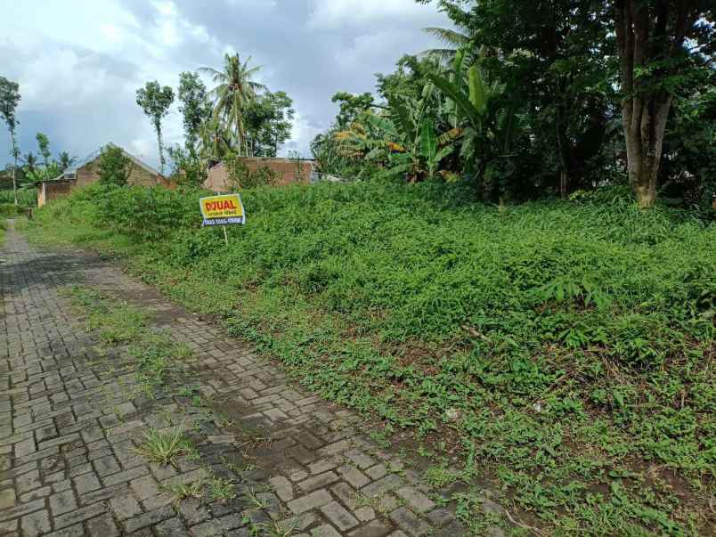 dijual tanah di bakalan bululawang malang