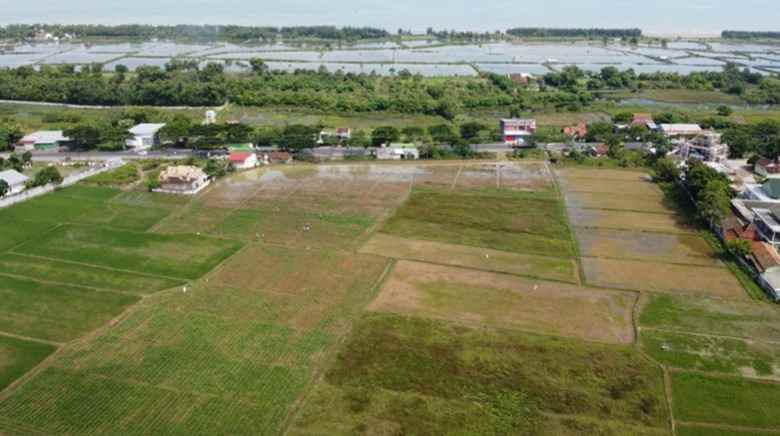 dijual tanah di kawasan rembang jawa tengah