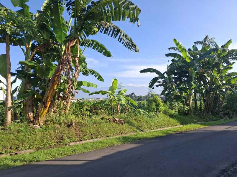 dijual tanah di kebonsari jember jl letjend sutoyo