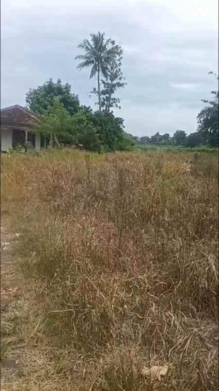 dijual tanah di lampung tengah