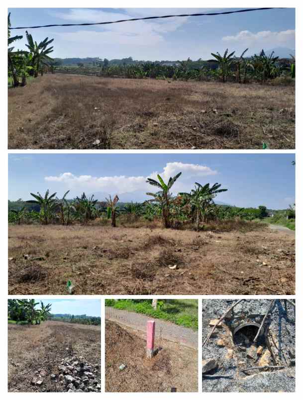 dijual tanah di tambangan mijen semarang