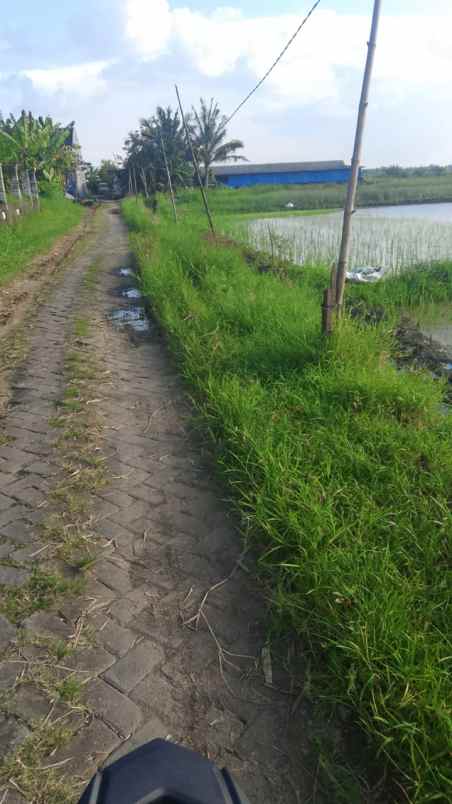 dijual tanah dijual tanah di desa