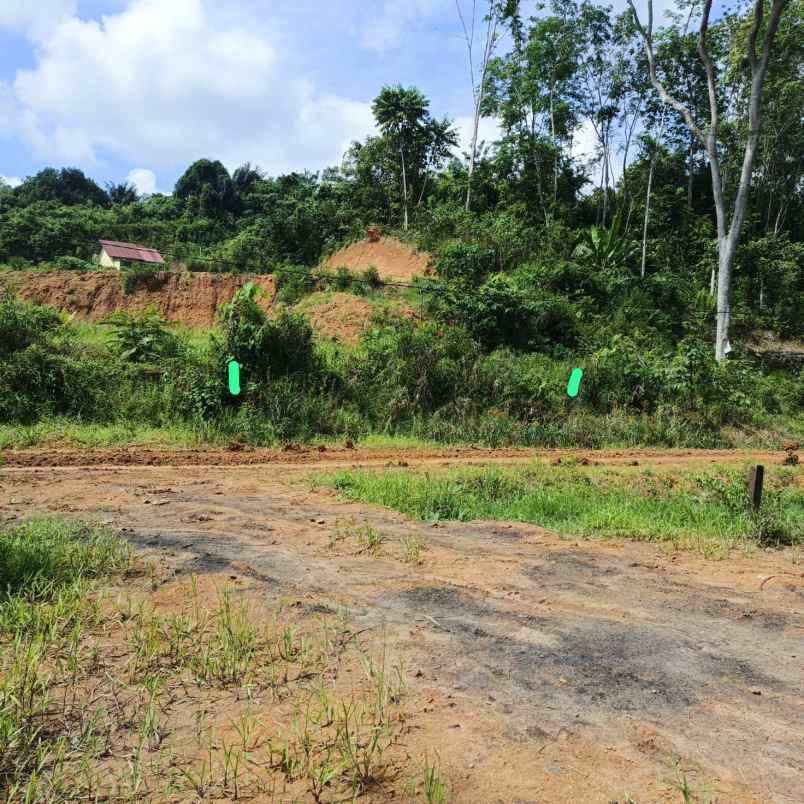 dijual tanah dijual tanah di enggarong