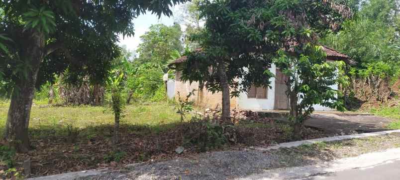 dijual tanah dijual tanah di pule