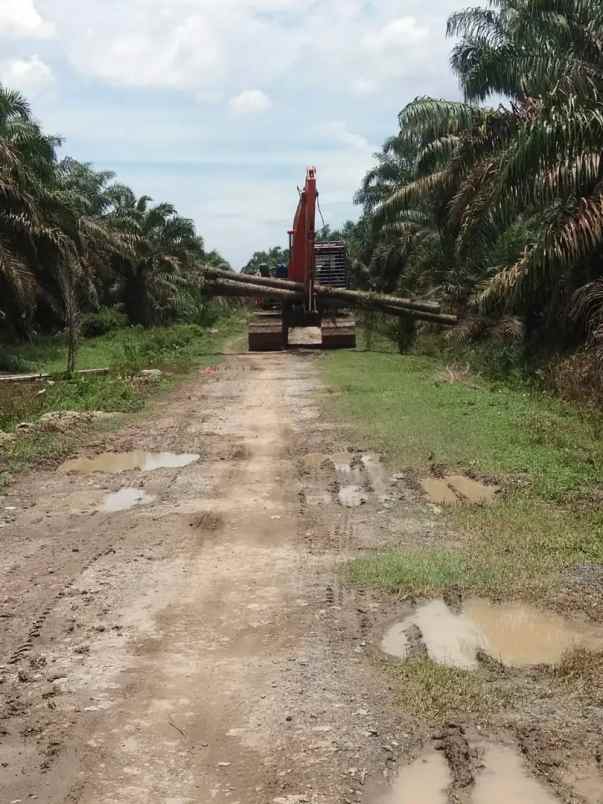 dijual tanah dusun vii desa padang