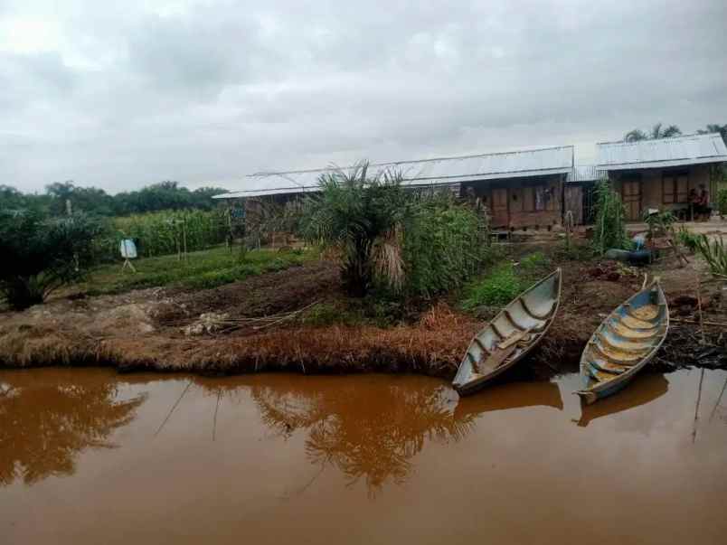 dijual tanah dusun vii desa padang