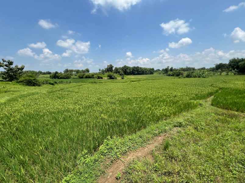 dijual tanah jalan alternatip subang