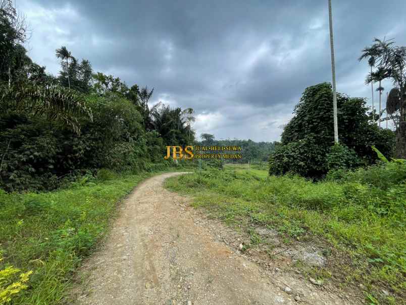 dijual tanah jalan namorambe sembahe