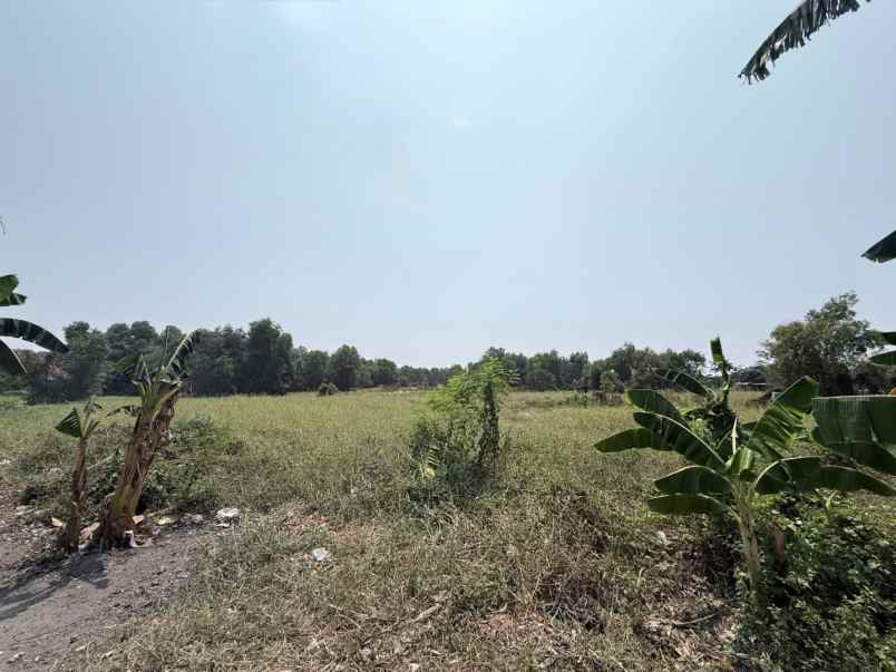 dijual tanah jalan raya teluk jambe
