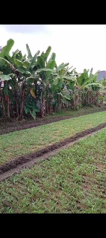 dijual tanah jl adi sucipto