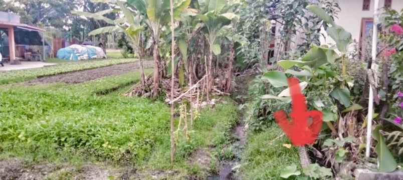 dijual tanah jl adi sucipto