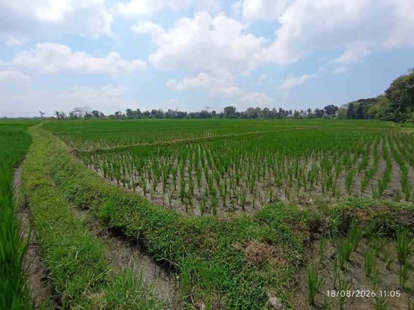 dijual tanah jl diponegoro