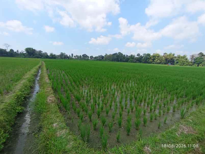 dijual tanah jl diponegoro