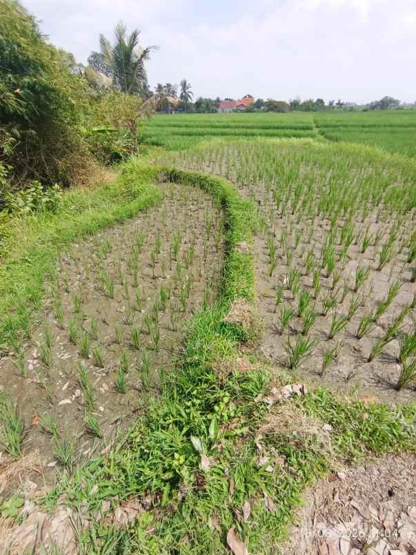 dijual tanah jl diponegoro