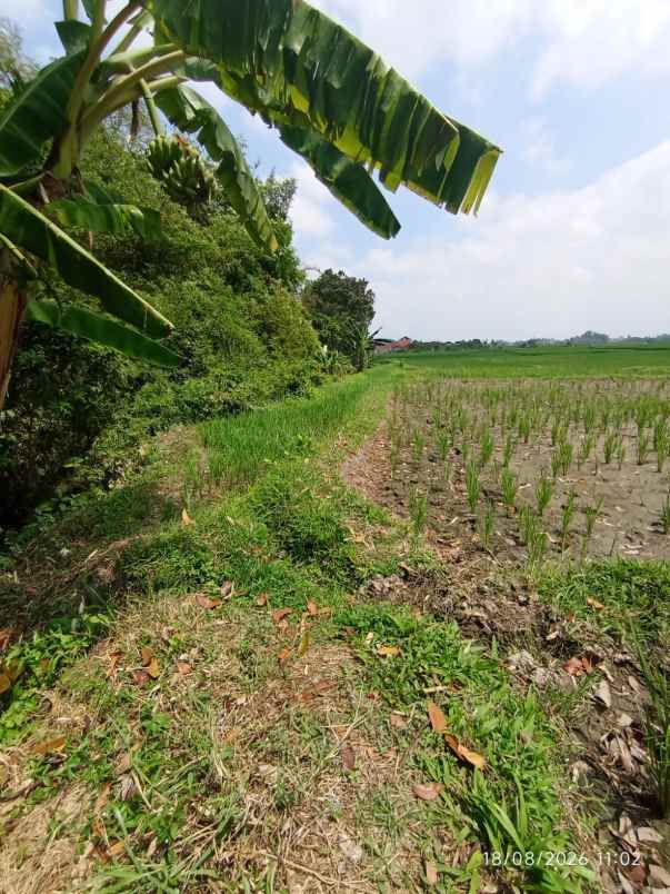 dijual tanah jl diponegoro