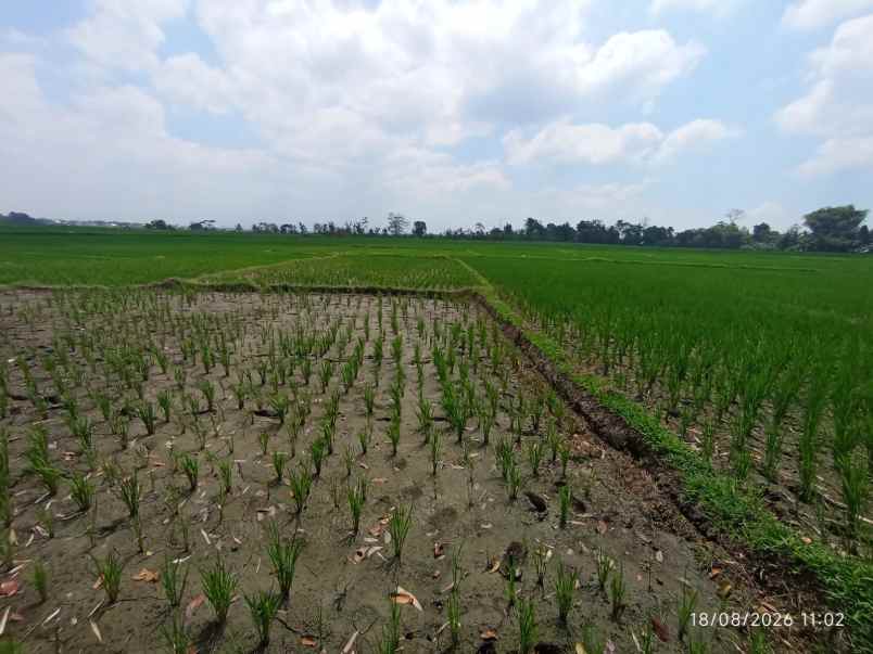 dijual tanah jl diponegoro