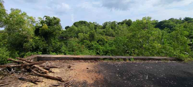 dijual tanah jl goa sakenan goa gong kutuh