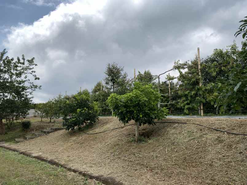 dijual tanah jl mekarwangi sariwangi