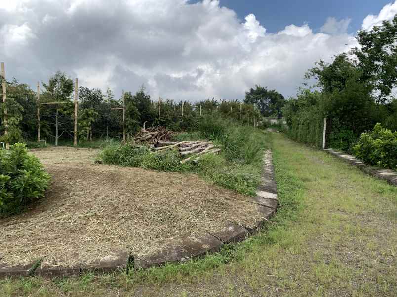 dijual tanah jl mekarwangi sariwangi