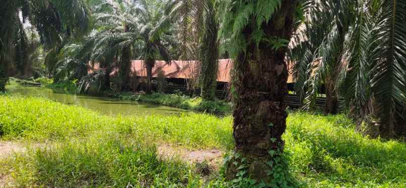 dijual tanah jl pangkalan banteng