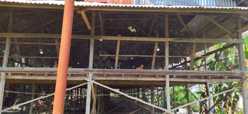 dijual tanah jl pangkalan banteng