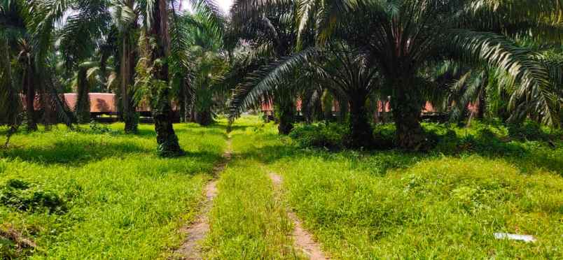 dijual tanah jl pangkalan banteng