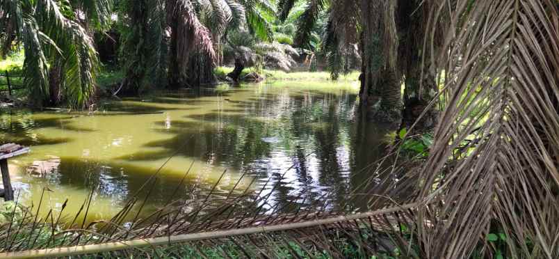 dijual tanah jl pangkalan banteng