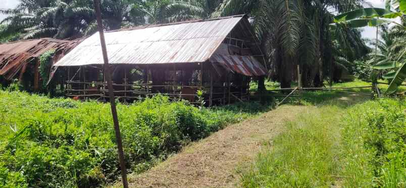 dijual tanah jl pangkalan banteng