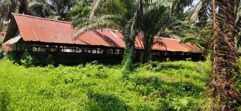 dijual tanah jl pangkalan banteng