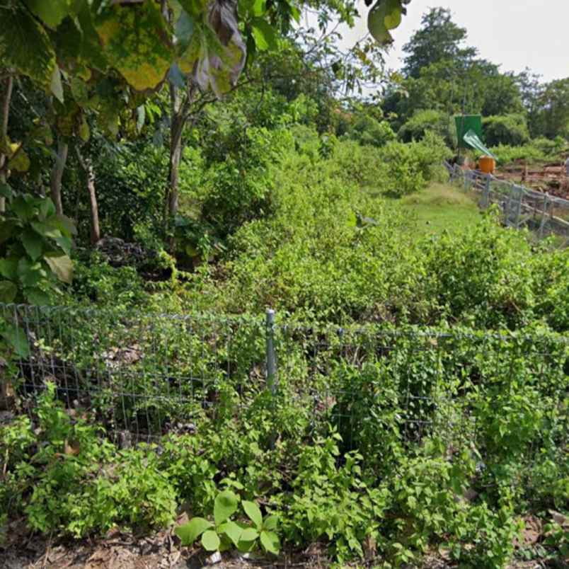 dijual tanah jl pantai balangan