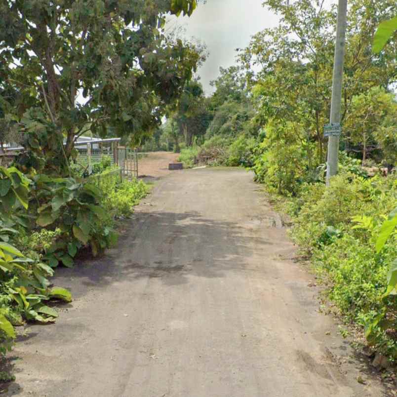 dijual tanah jl pantai balangan
