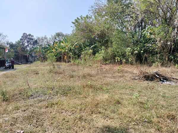 dijual tanah jl ponpes sunan ampel bajeng