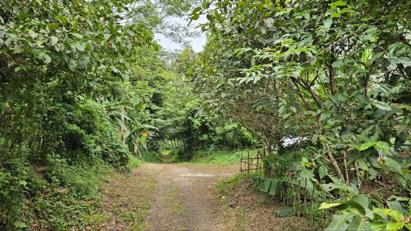 dijual tanah kadumerak