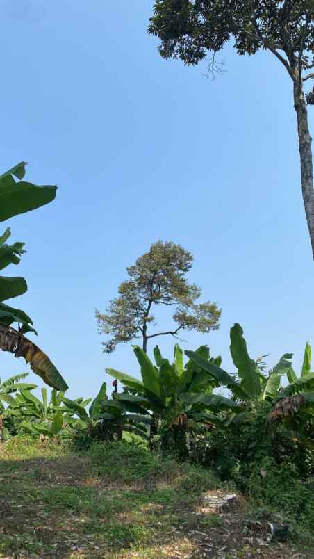 dijual tanah kadumerak