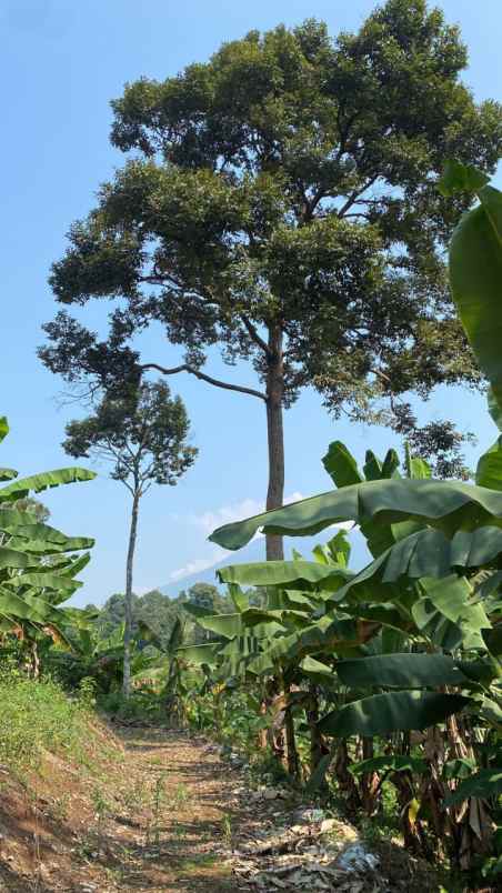 dijual tanah kadumerak