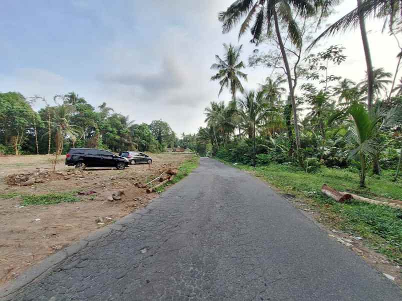 dijual tanah kantongan merdikorejo